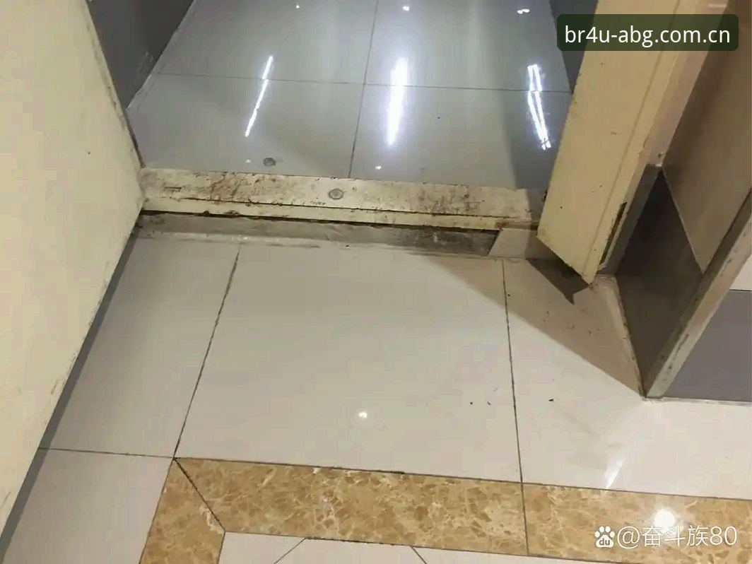 ABG中国首页下载不了怎么办 老用户摸出来的门道:ABG中国首页下载不了怎么办,这几招实战管用